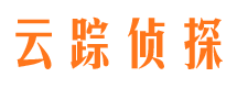 桑日侦探公司